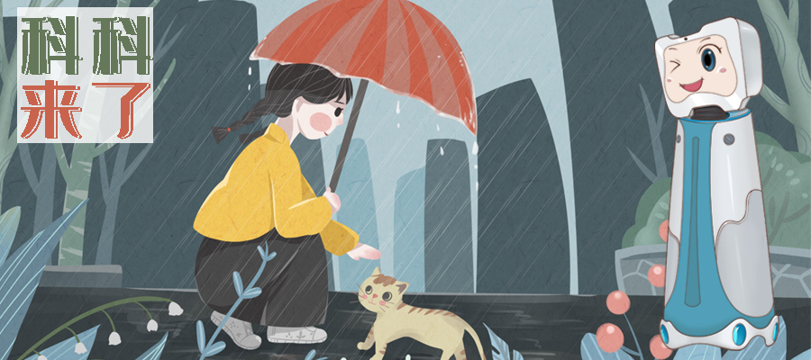  科科来了 | 第25期：施一个“让雨滴暂停”的魔法 
