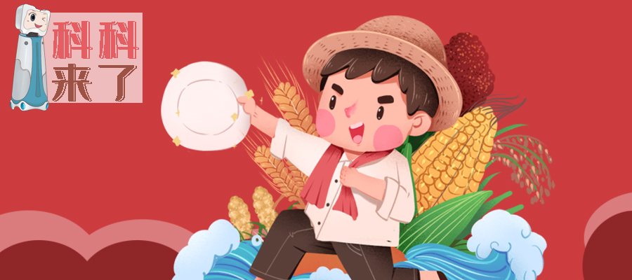 科科来了 | 第31期：光盘行动，你行动了吗？