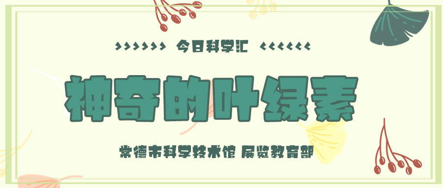 神奇的叶绿素