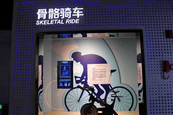 骨骼骑车