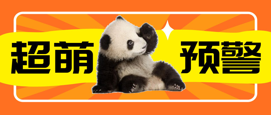 NO.4灵魂拷问：大熊猫有尾巴吗？
