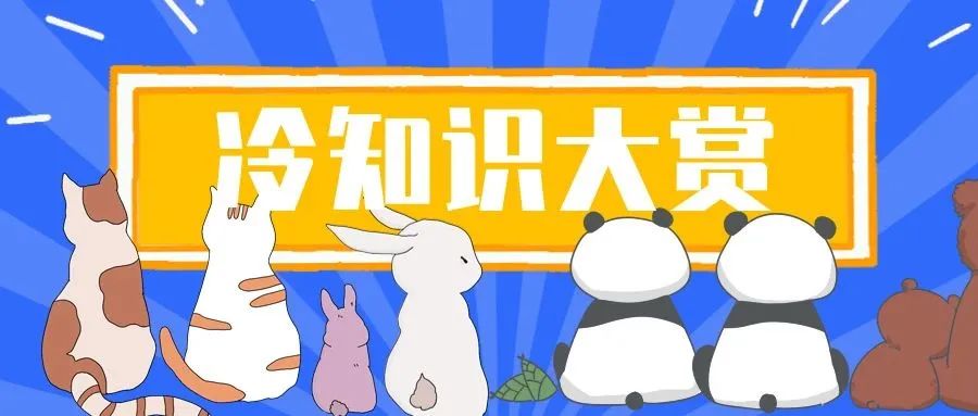 No.17 这些年，我们误会过的“真成语”