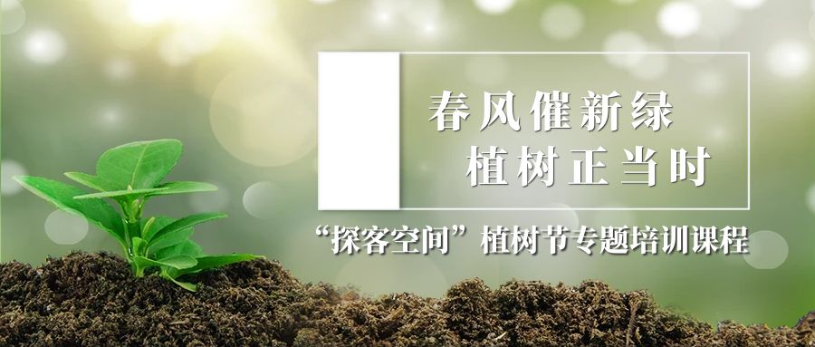 春风催新绿，植树正当时 —— 常德市科技馆开展“唤醒沉睡的种子”植树节专题培训课程