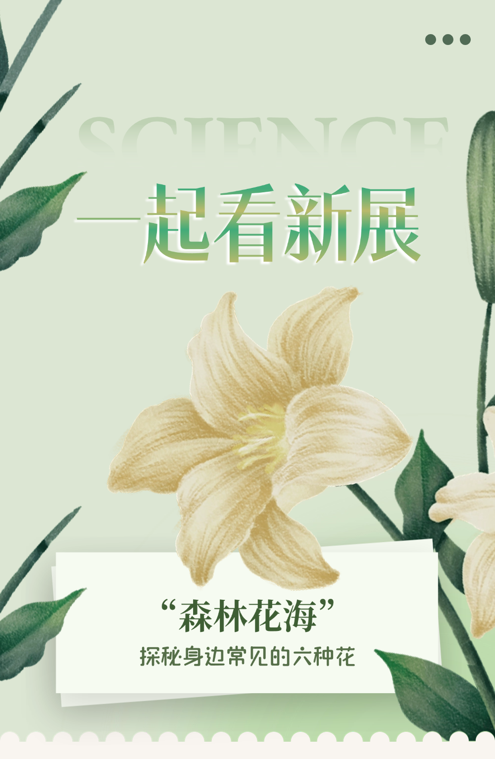 【一起看新展】“森林花海”——探秘身边常见的六种花