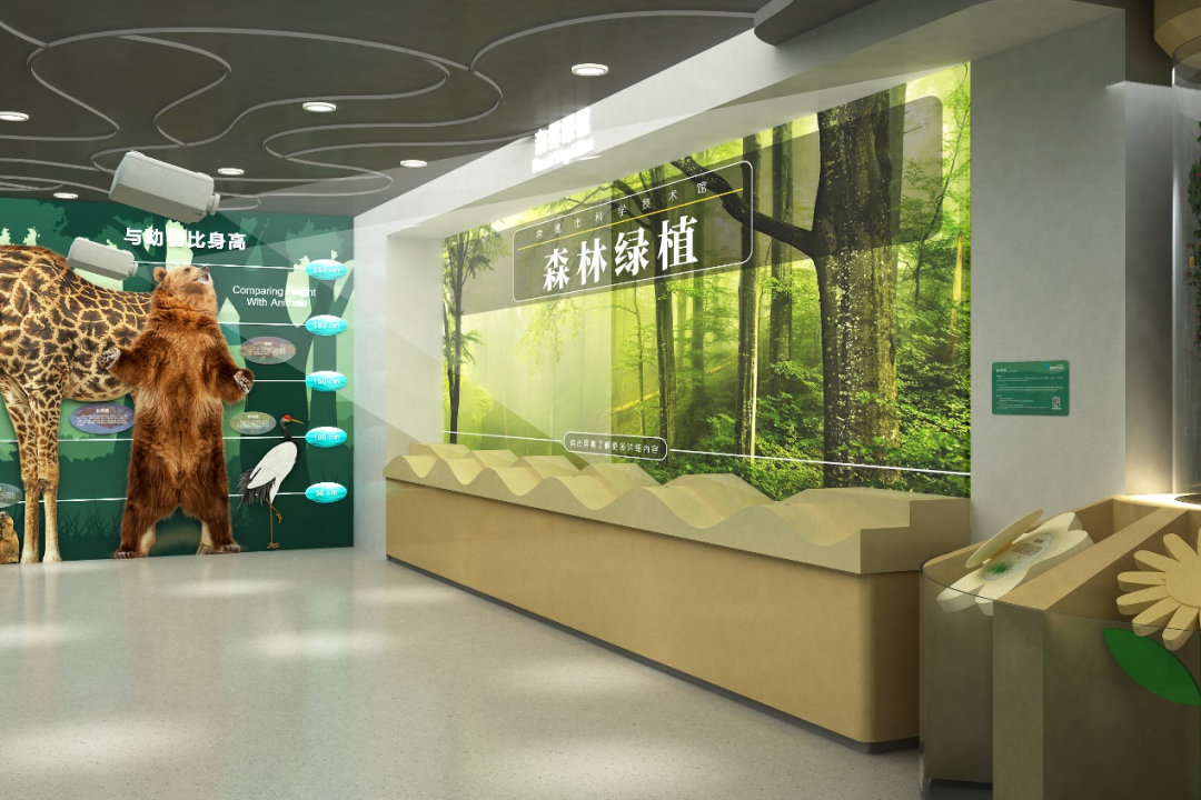 【一起看新展】“森林绿植”邀你走进六种树木的智慧世界