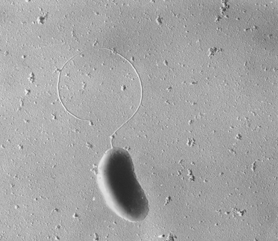 b997a471274f6a7b69eccf651ced4b07.png b997a471274f6a7b69eccf651ced4b07.png