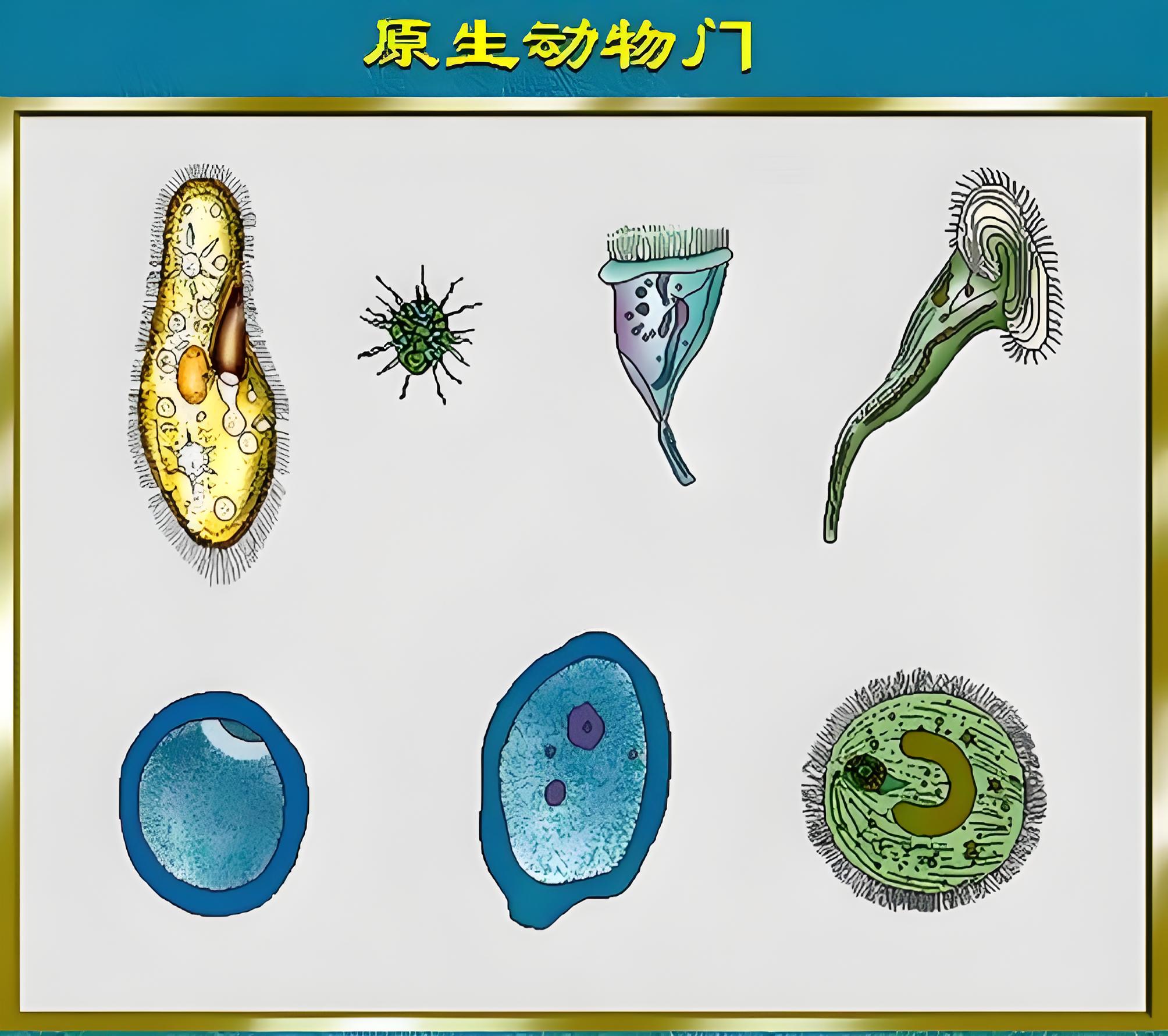 59d7ef62b5eafe3aee47c2d8d1eadeca.jpg 59d7ef62b5eafe3aee47c2d8d1eadeca.jpg