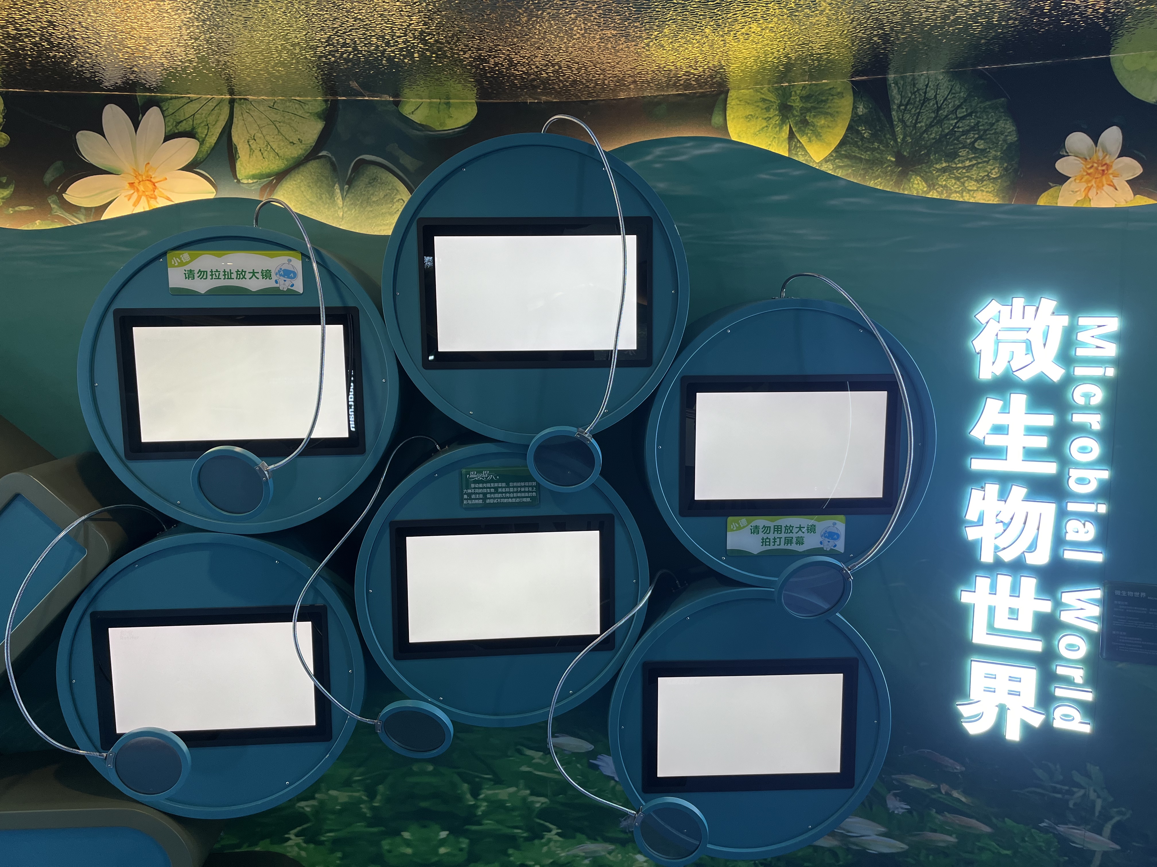 微生物世界1.jpg 微生物世界1.jpg