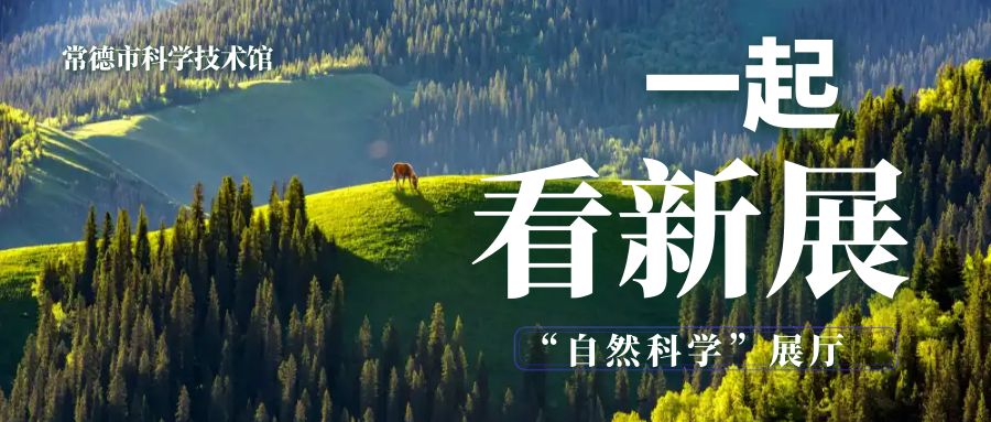 【一起看新展 】 微生物世界：湿地里的“隐形三国”