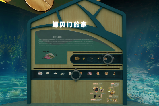 揭秘神奇建筑密码 带你领略不一样的 “螺贝们的家”