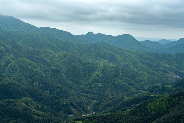 乌云界国家自然保护区 (1).jpg 乌云界国家自然保护区 (1).jpg